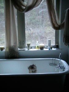 Baby Bathtub